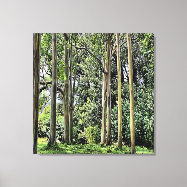 Lienzo Eucalyptus Triple Canvas (Anverso)