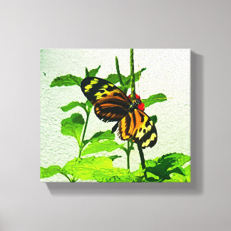 Lienzo Eueides Isabella