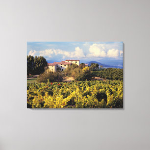 Lienzo Europa, Francia, Bonnieux. Viñedos cubren el