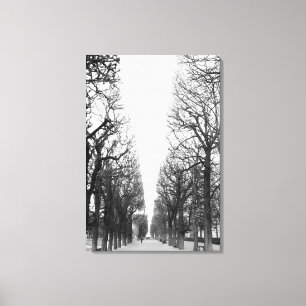 Lienzo Europa, Francia, París. Árboles de invierno, Marco