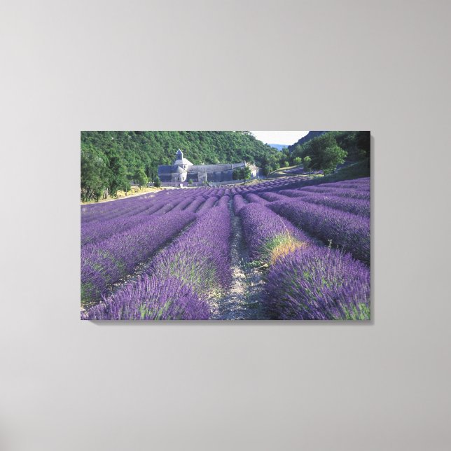 Lienzo Europa, Francia, Provenza. Campos de lavanda (Anverso)