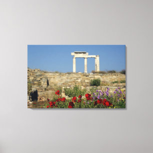 Lienzo Europa, Grecia, Cícladas, Delos. Ruinas de columna