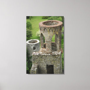 Lienzo Europa, Irlanda, Castillo de Blarney. ESTA IMAGEN