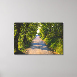 Lienzo Europa, Italia, Toscana, carretera arbolada