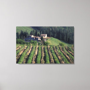 Lienzo Europa, Italia, Toscana. Cyprus de villa escénica