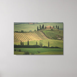 Lienzo Europa, Italia, Toscana, Val d'Orcia, Toscano