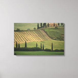 Lienzo Europa, Italia, Toscana, Val d'Orcia, Toscano