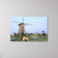 Europa, Países Bajos, Holanda Zuid, Kinderdijk. 2