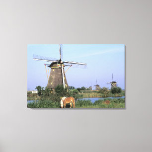 Lienzo Europa, Países Bajos, Zuid Holland, Kinderdijk.2