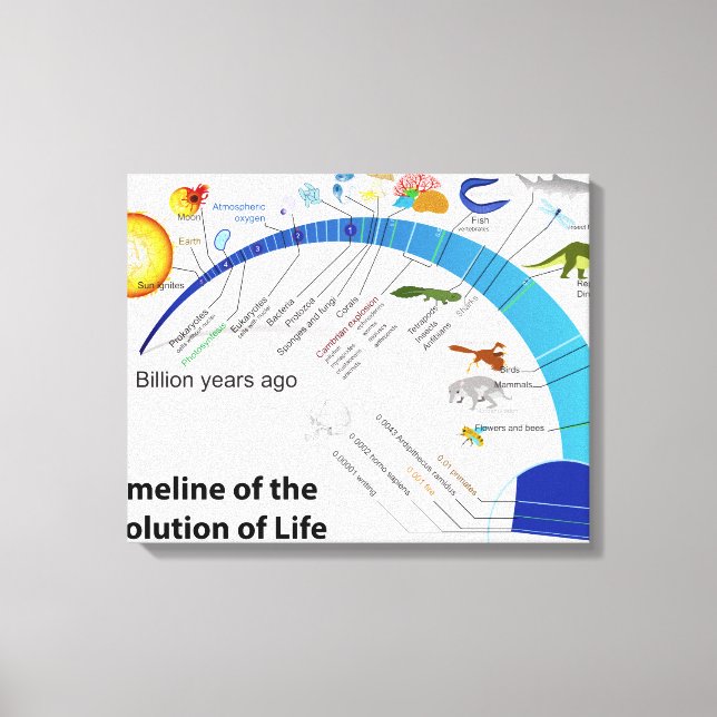 Lienzo Evolución de la vida en el diagrama de la línea de (Anverso)