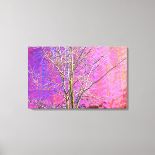 Lienzo Experience Music Project, Seattle Center, WA