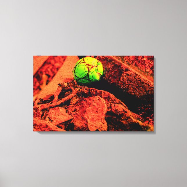 Lienzo explorador de mosquitos (Anverso)