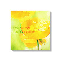 Exprés Gratitude Naranja Poppy