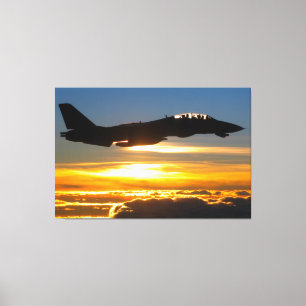 Lienzo F-14 TOMCAT 40x60