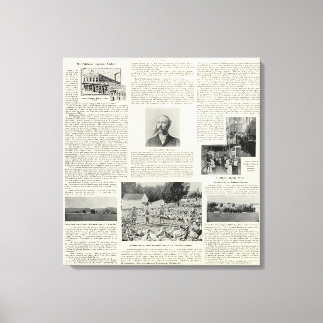 Lienzo Fábrica de incubadoras de Petaluma, California (Anverso)