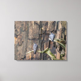 Lienzo Falcones Peregrinos Sobre Las Rocas