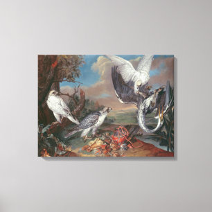 Lienzo Falcons de Groenlandia Cyr