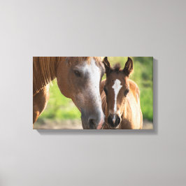 Lienzo Falso  | Zazzle_Growshop.