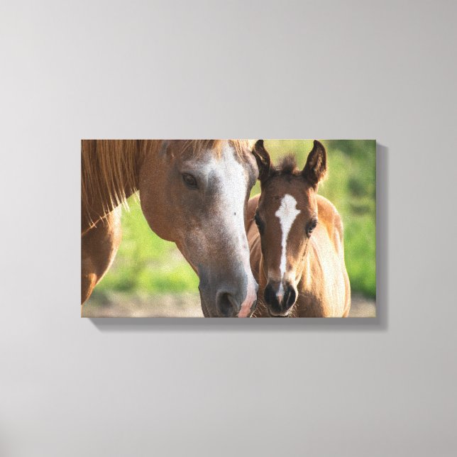 Lienzo Falso  | Zazzle_Growshop. (Anverso)