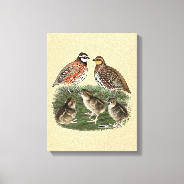 Lienzo Familia Bobwhite Quail (Anverso)