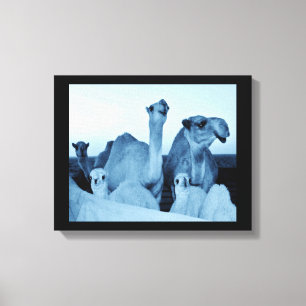 Lienzo Familia Camel