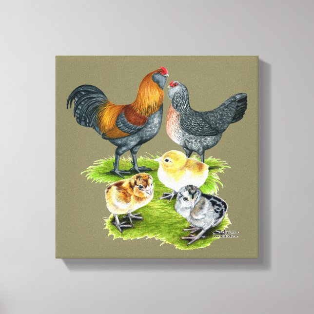 Lienzo Familia de Gallinas Ameraucanas (Anverso)