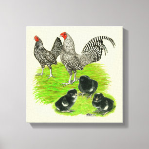 Lienzo Familia de la gallina enana Old English Barred