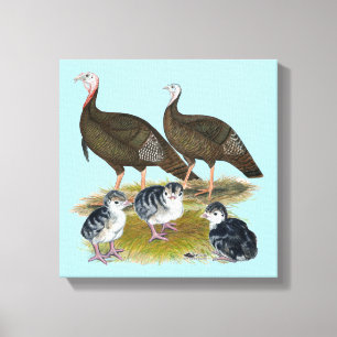 Lienzo Familia de pavos salvajes del este