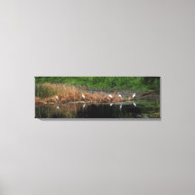 Familia Heron - lado derecho