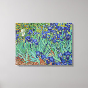 Lienzo Famoso cuadro de lirios azules al óleo de Van Gogh