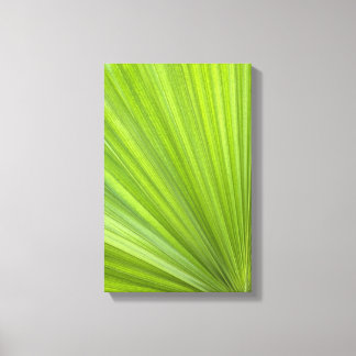 Lienzo Fanco de palma verde tropical
