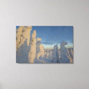Lienzo Fantasmagorías de nieve al atardecer en Whitefish