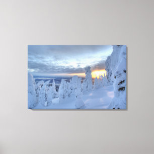 Lienzo Fantasmas de nieve al atardecer en Whitefish Mount