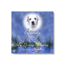 Fantasy Pond añade tu foto-memorial Mascota