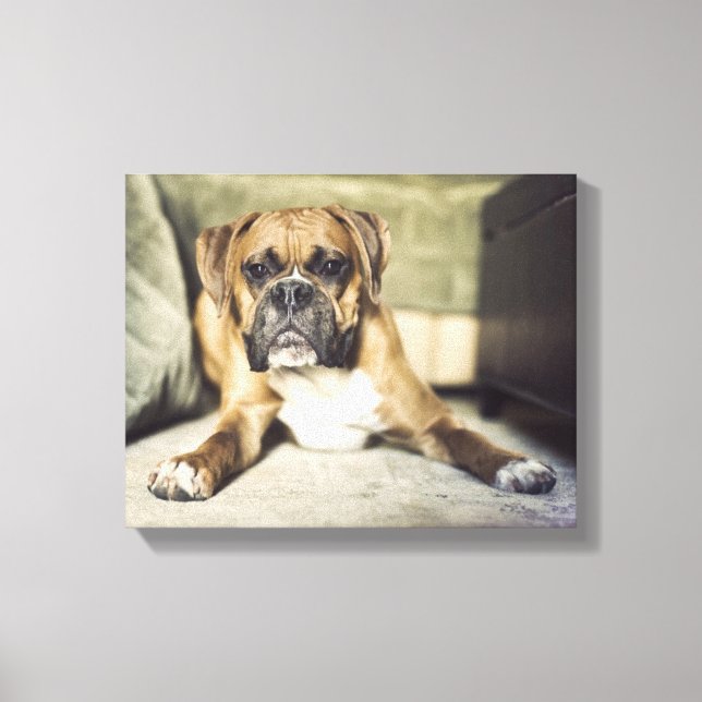 Lienzo Fawn Boxer Pup (Anverso)