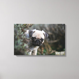 Lienzo Fawn Pug Puppy Headshot