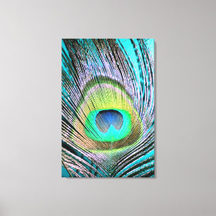 Lienzo Feather de pavo real sobre turquesa