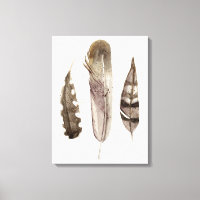 Feathers II