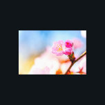 Lienzo Feliz Cumpleaños A Las Flores De Cerezo Sakura En<br><div class="desc">Flor de sakura nueva y dos brotes en una rama de árbol. El fondo suave y liso de los tonos azul pastel y rosa. Feliz cumpleaños a la nueva vida, a los cerezos en flor. Una pintura digital extra grande de una fotografía. Impresión de lienzos floridos y estirados para decorar...</div>