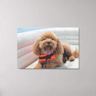 Lienzo Feliz Perro Cockapoo En Sonrisas De Botes De Ponto