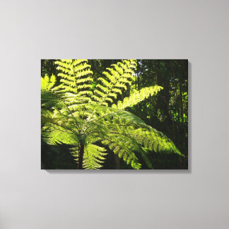 Lienzo Fern arbolado en la selva tropical