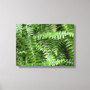 Lienzo Fern Fronds I Green Nature