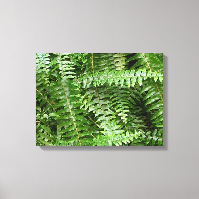 Lienzo Fern Fronds I Green Nature (Anverso)