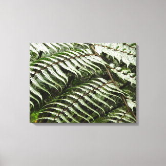 Lienzo Fern Fronds II Naturaleza verde oscura