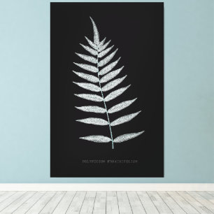 Lienzo Fern - Polipopodio Fraxinifolio - Efecto de rayos