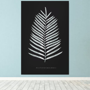 Lienzo Fern - Polipopodio Henchmanii - Efecto de rayos X