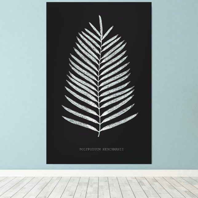 Lienzo Fern - Polipopodio Henchmanii - Efecto de rayos X  (Insitu (piso de madera))