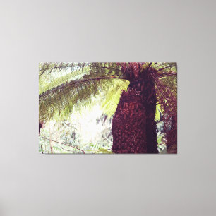 Lienzo Fern Rainforest