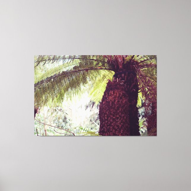 Lienzo Fern Rainforest (Anverso)