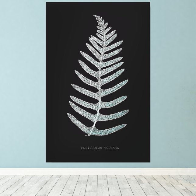 Lienzo Fern - Vulgare de polipodio - Efecto de rayos X -  (Insitu (piso de madera))